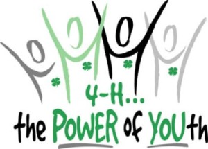 4h the power of youth